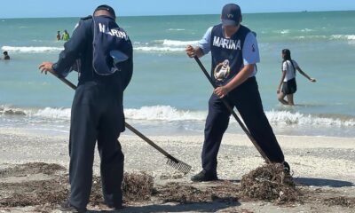 Se han recolectado más de 800 toneladas de petróleo de derrame