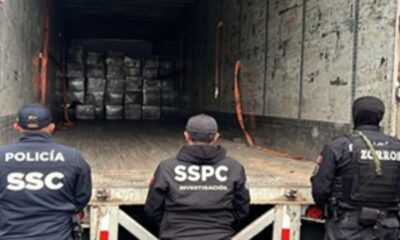 Decomisan en CDMX más de una tonelada de marihuana oculta en cajas de huevo