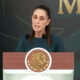 Ninguna potencia extranjera nos va a decir cómo gobernar: Sheinbaum