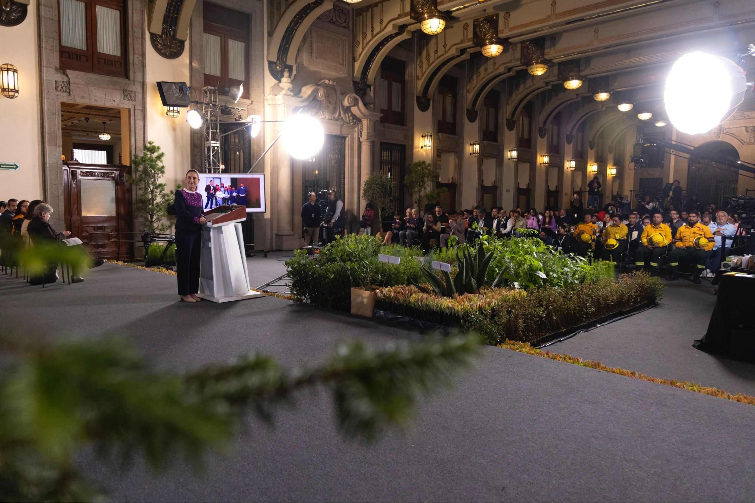 Sheinbaum anuncia jornada de reforestación este domingo 9 de agosto
