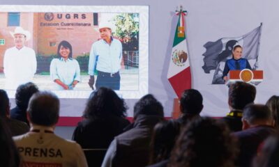 Sonora anuncia reapertura de exportación de ganado a EU
