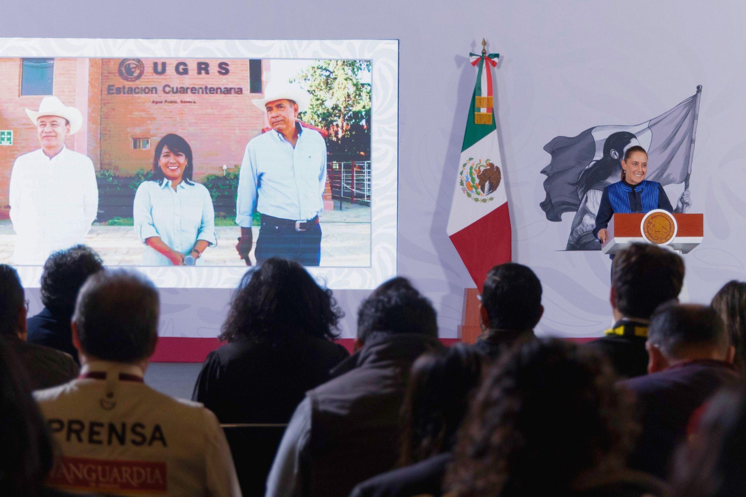 Sonora anuncia reapertura de exportación de ganado a EU