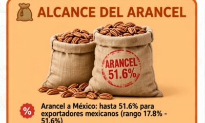 Aranceles a nueces no es respuesta de China a tarifas mexicanas: Sheinbaum