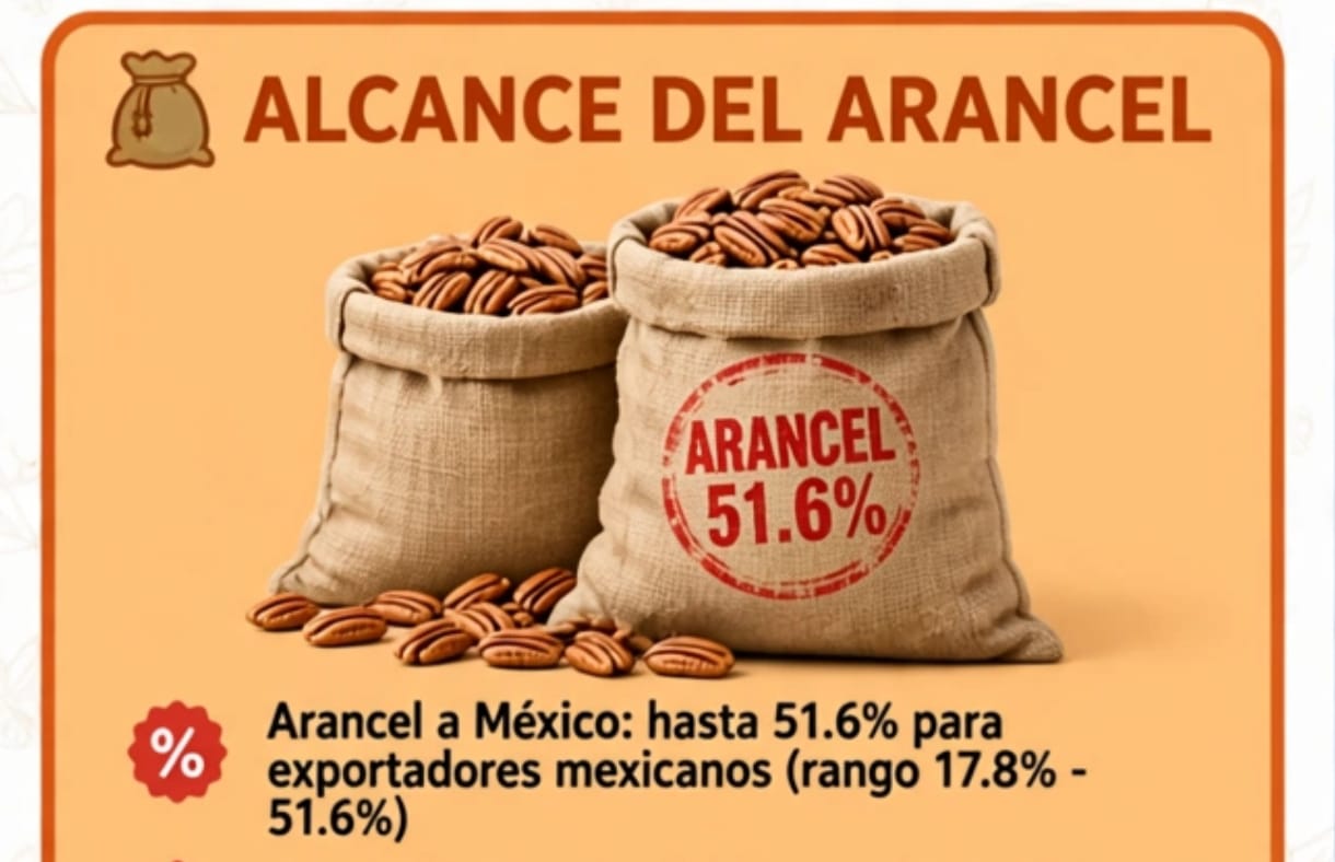 Aranceles a nueces no es respuesta de China a tarifas mexicanas: Sheinbaum