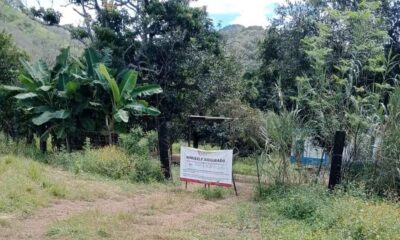 Colectivo Familias Unidas por Nayarit