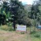Colectivo Familias Unidas por Nayarit